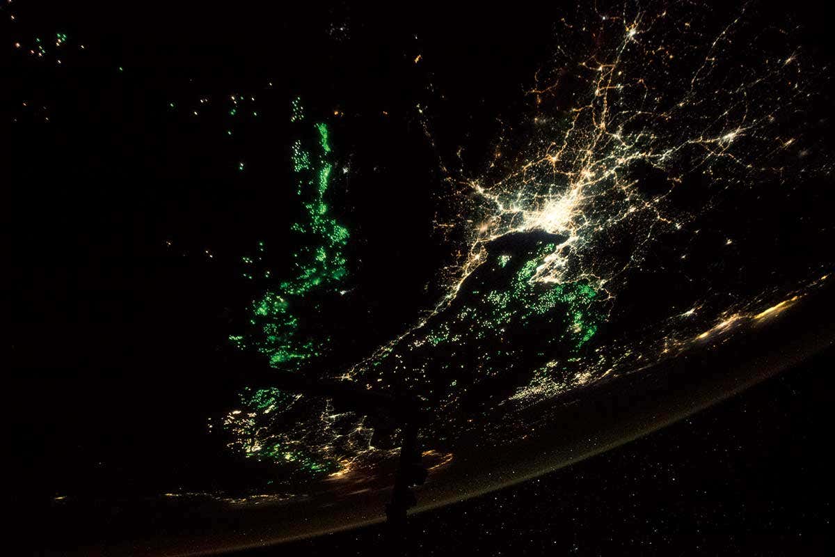 New Scientist. Science news and long reads from expert journalists, covering developments in science, technology, health and the environment on the website and the magazine.