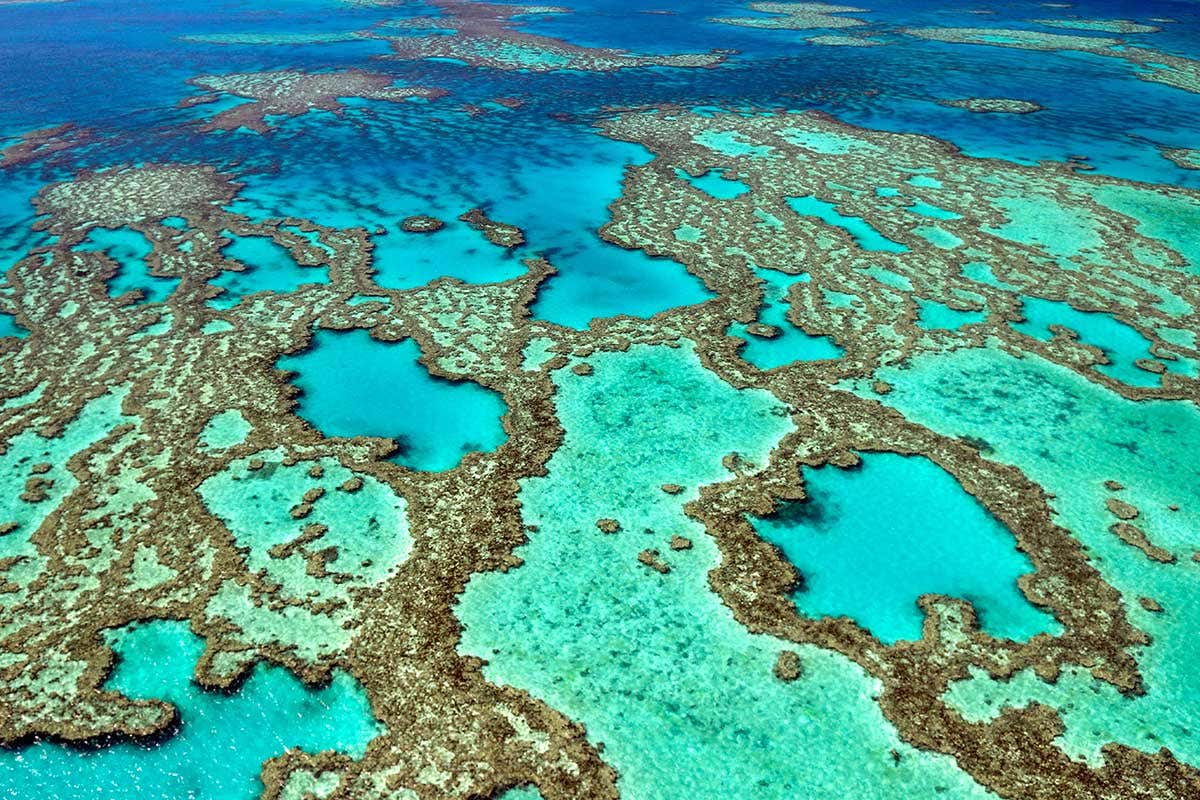 New Scientist. Science news and long reads from expert journalists, covering developments in science, technology, health and the environment on the website and the magazine.