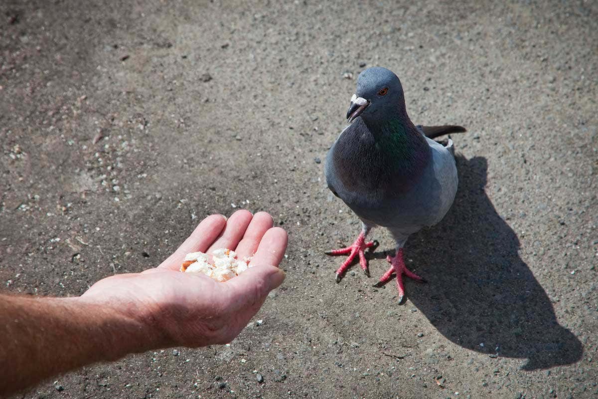 New Scientist. Science news and long reads from expert journalists, covering developments in science, technology, health and the environment on the website and the magazine.