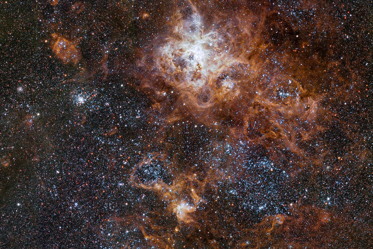 The Tarantula Nebula