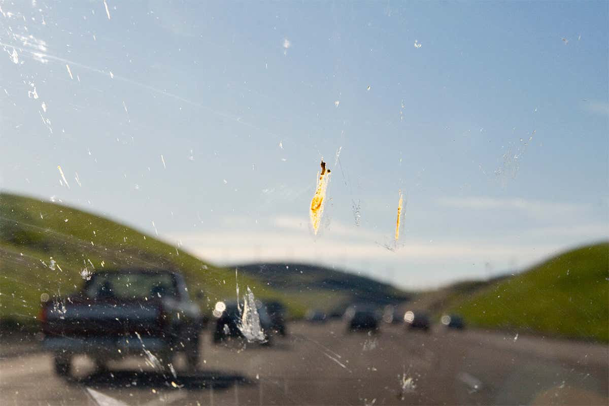 New Scientist. Science news and long reads from expert journalists, covering developments in science, technology, health and the environment on the website and the magazine.