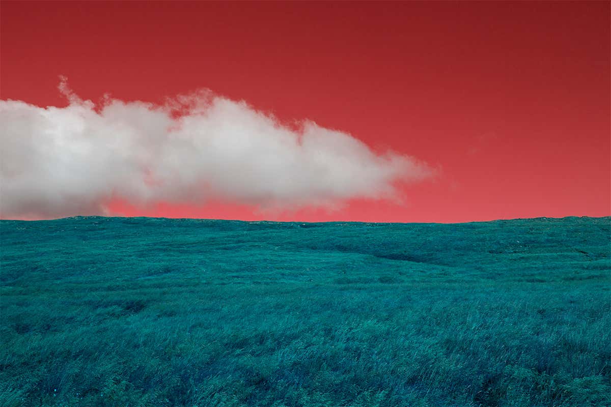 An oddly coloured landscape