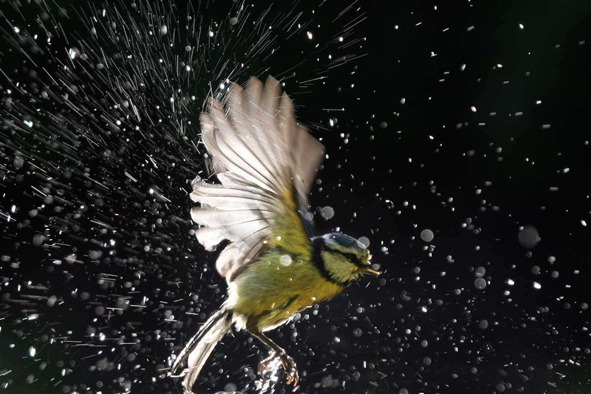 New Scientist. Science news and long reads from expert journalists, covering developments in science, technology, health and the environment on the website and the magazine.