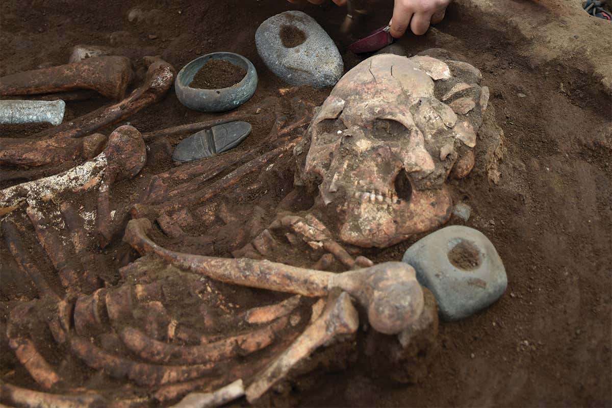 a human skull being excavated