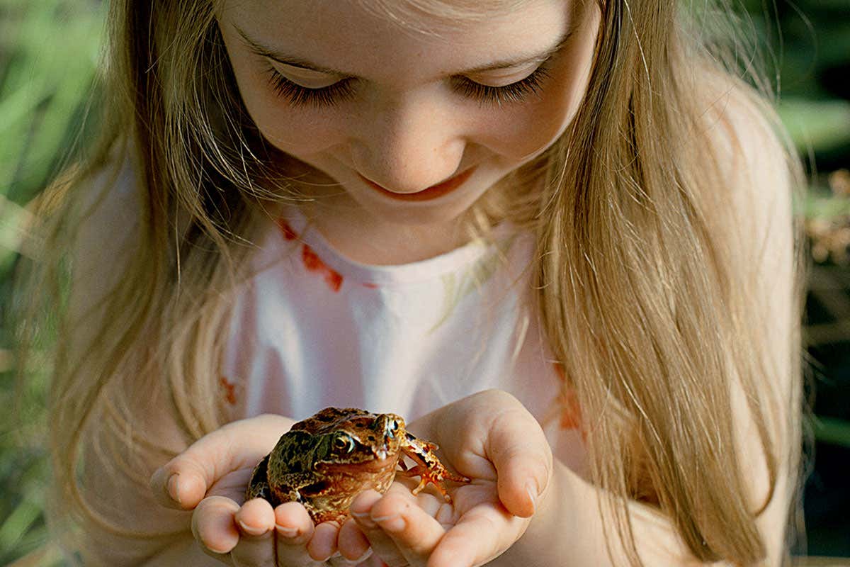 A girl holding a frog