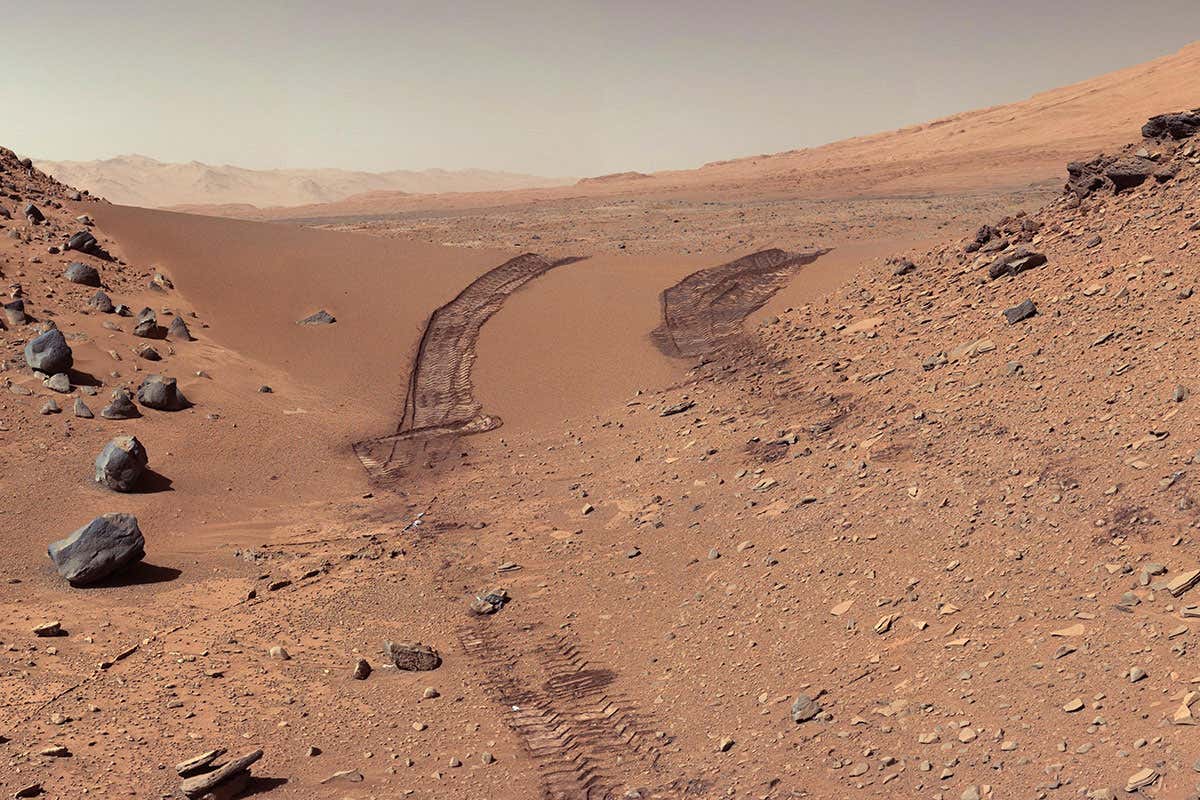 New Scientist. Science news and long reads from expert journalists, covering developments in science, technology, health and the environment on the website and the magazine.