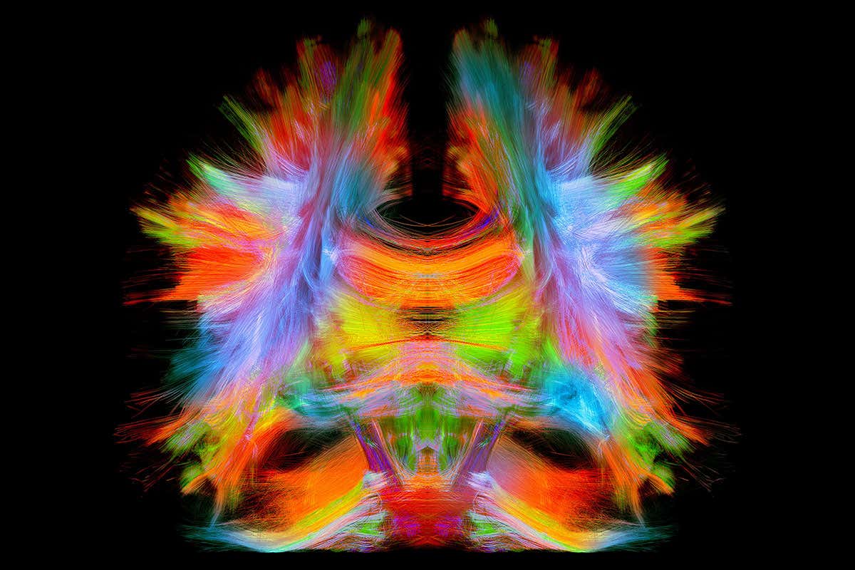 New Scientist. Science news and long reads from expert journalists, covering developments in science, technology, health and the environment on the website and the magazine.