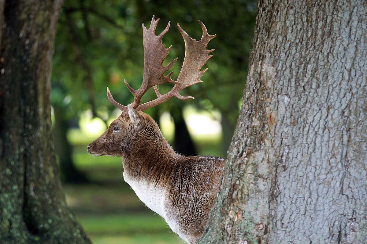 New Scientist. Science news and long reads from expert journalists, covering developments in science, technology, health and the environment on the website and the magazine.