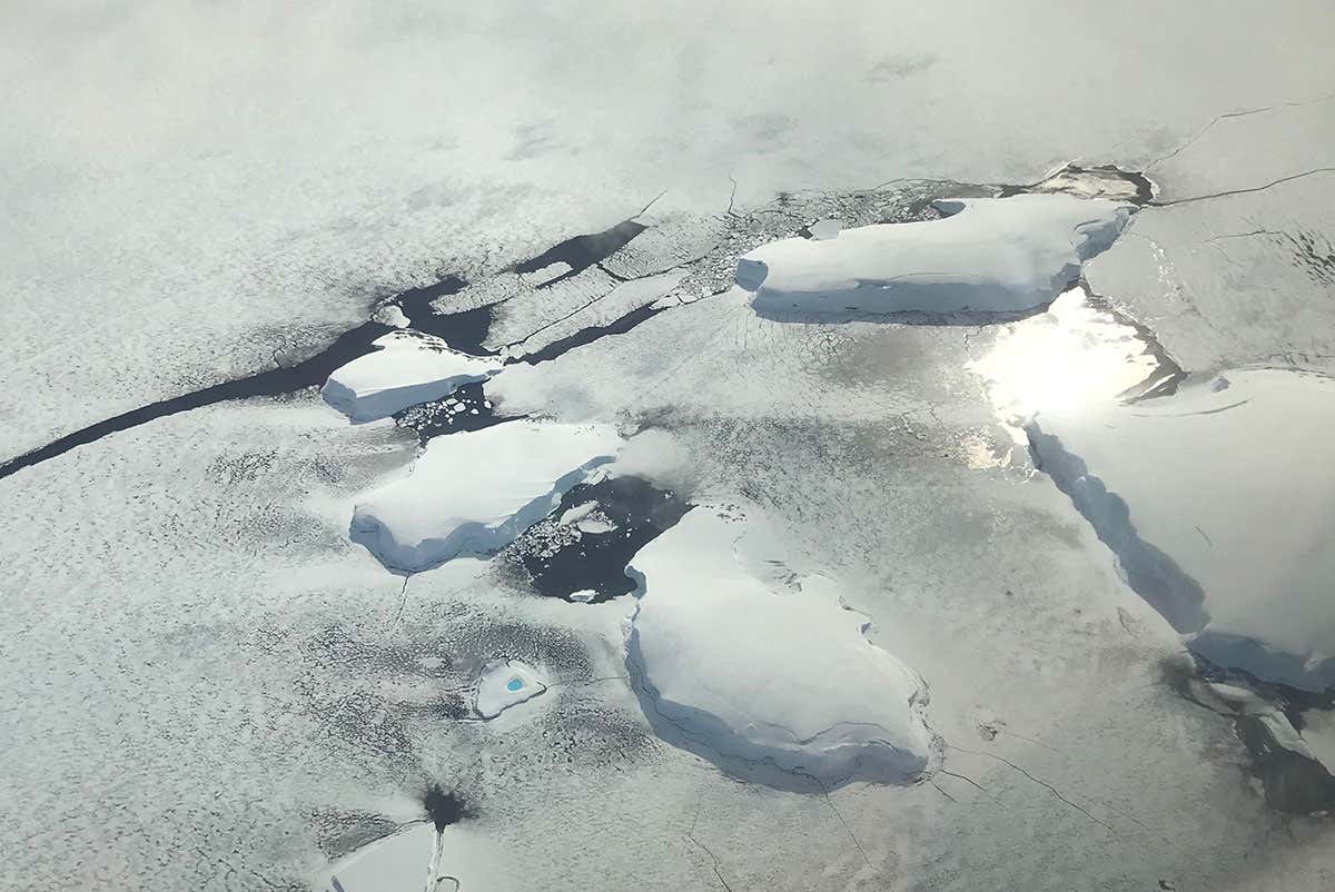 An iceberg with a melt pond, in the Bellingshausen Sea off Antarctica