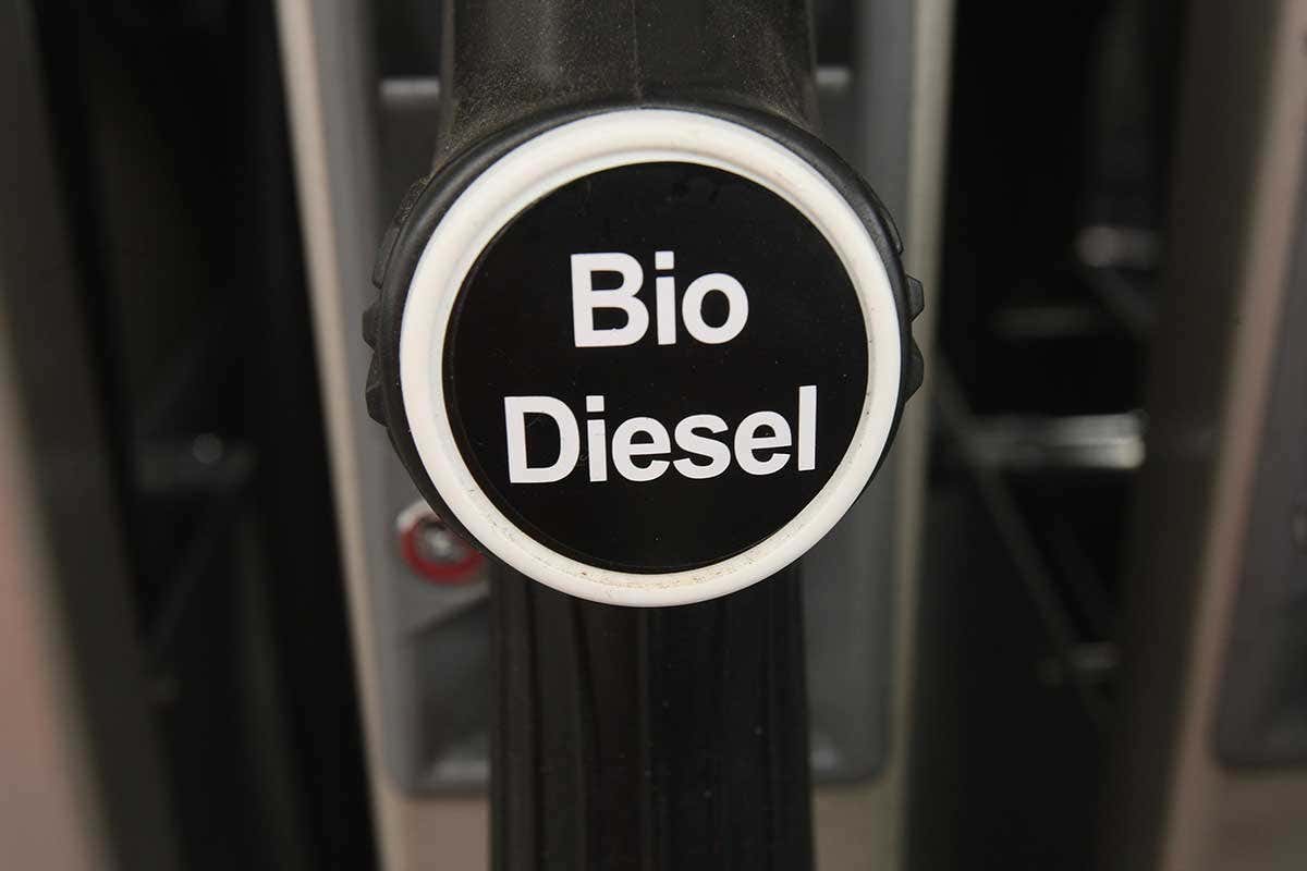 EU will limit the use of palm oil as car fuel but won’t stop it