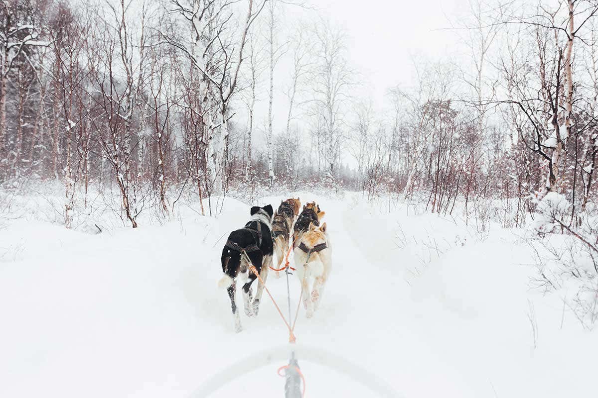 New Scientist. Science news and long reads from expert journalists, covering developments in science, technology, health and the environment on the website and the magazine.