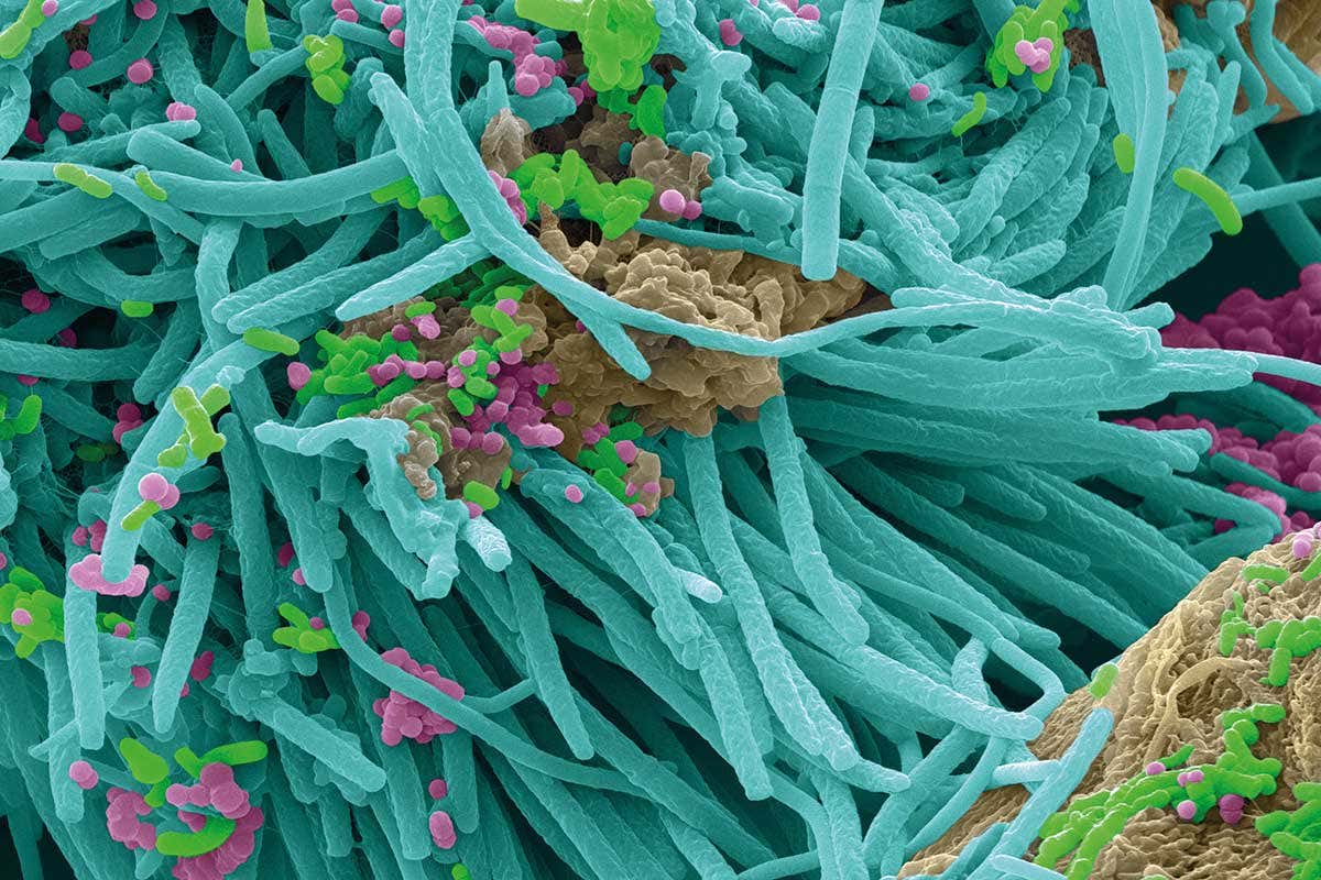 New Scientist. Science news and long reads from expert journalists, covering developments in science, technology, health and the environment on the website and the magazine.