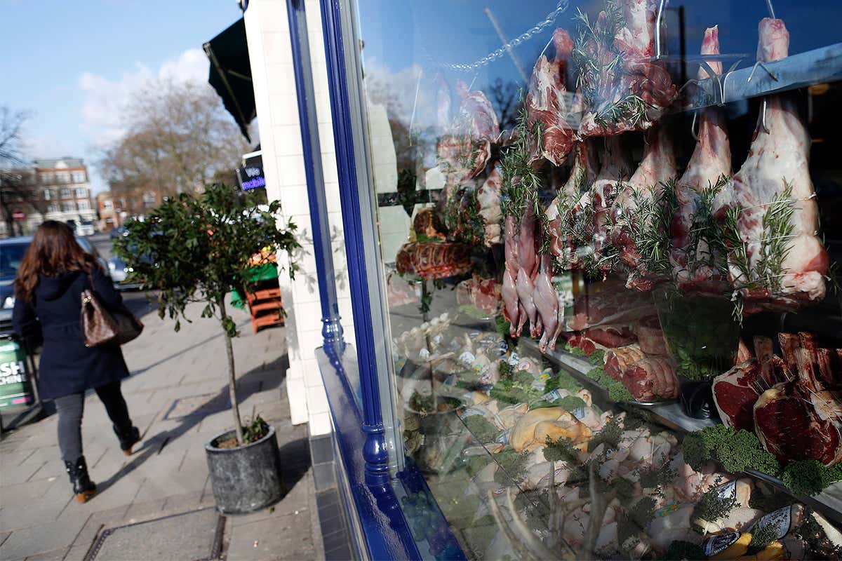 New Scientist. Science news and long reads from expert journalists, covering developments in science, technology, health and the environment on the website and the magazine.