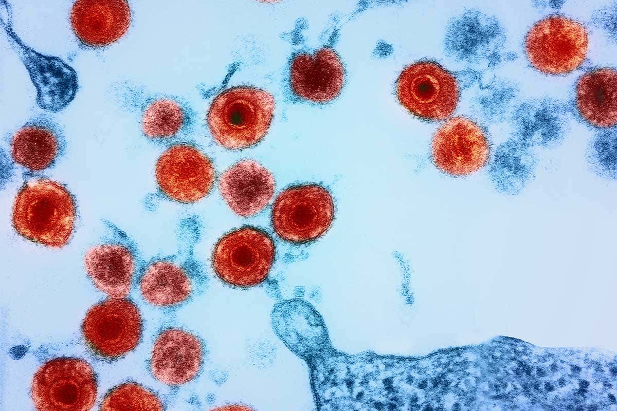 New Scientist. Science news and long reads from expert journalists, covering developments in science, technology, health and the environment on the website and the magazine.