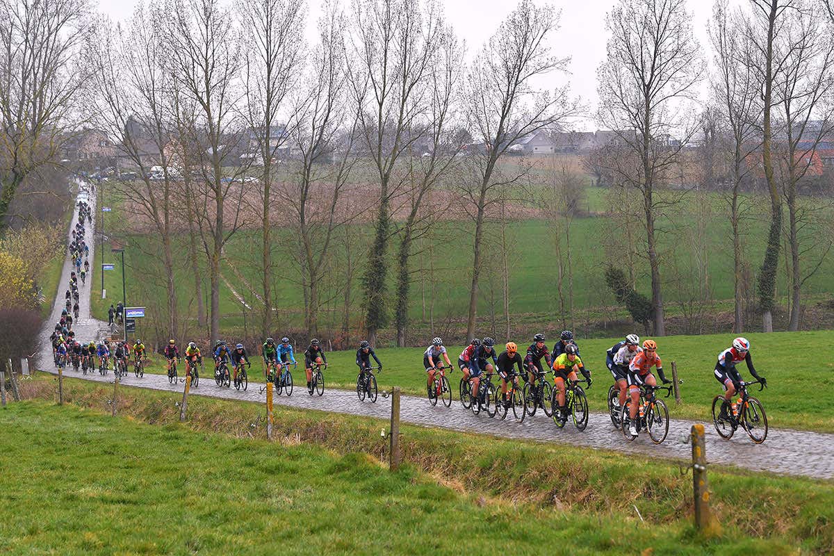 A pack of cyclists pass bare trees in the Belgian countryside