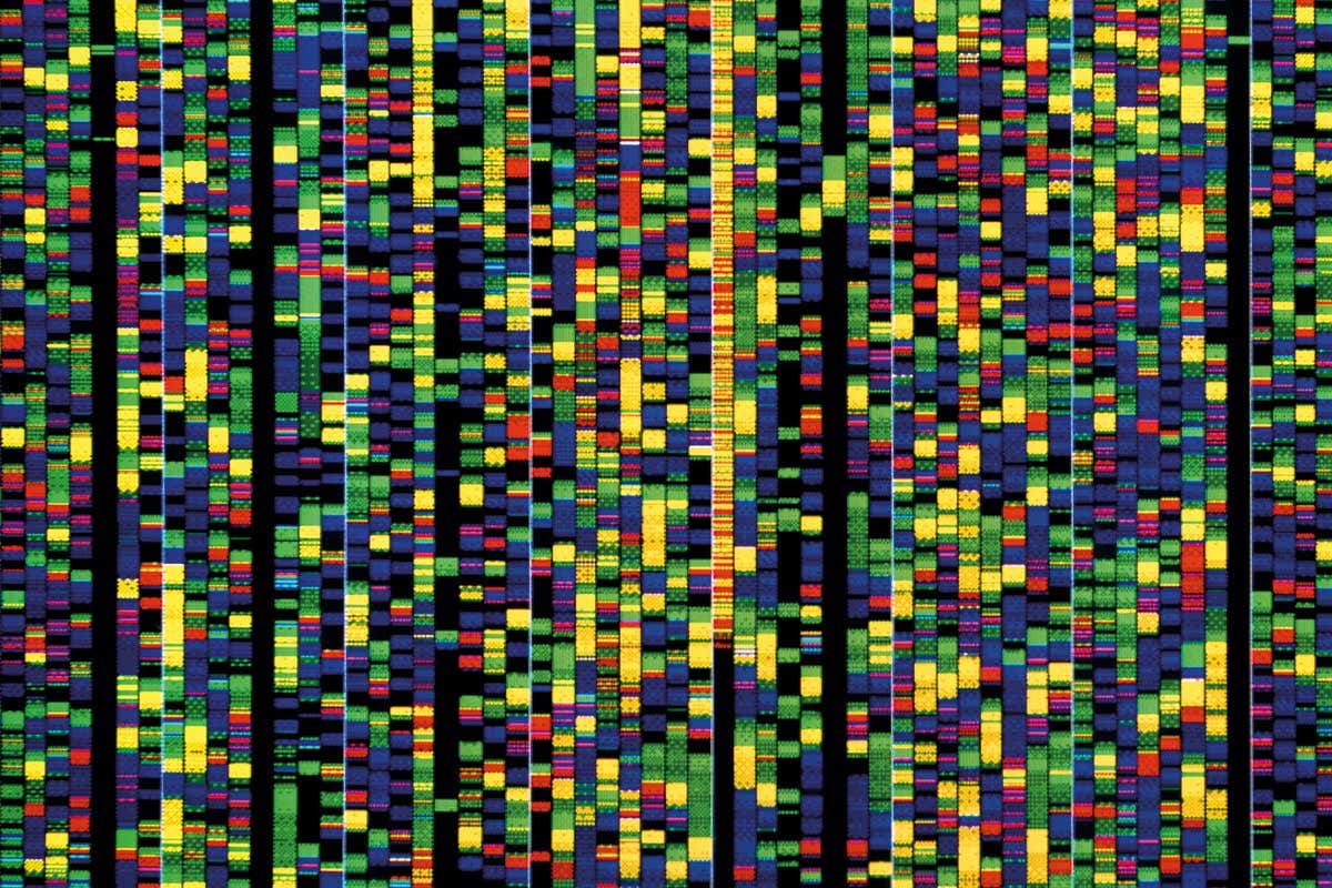 DNA data storage