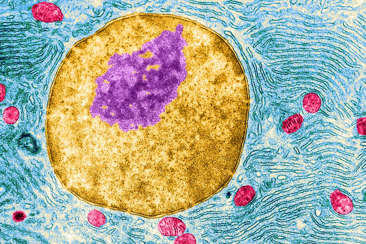 New Scientist. Science news and long reads from expert journalists, covering developments in science, technology, health and the environment on the website and the magazine.