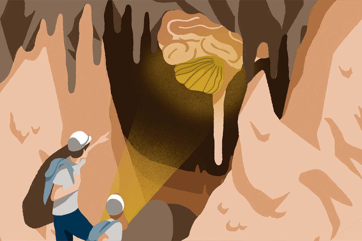 The brain’s secret powerhouse that makes us who we are