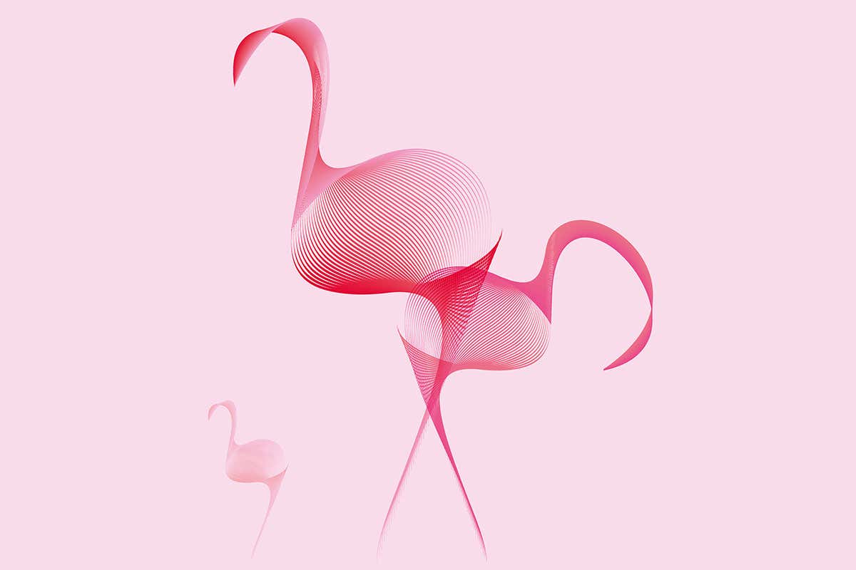 Flamingo artwork