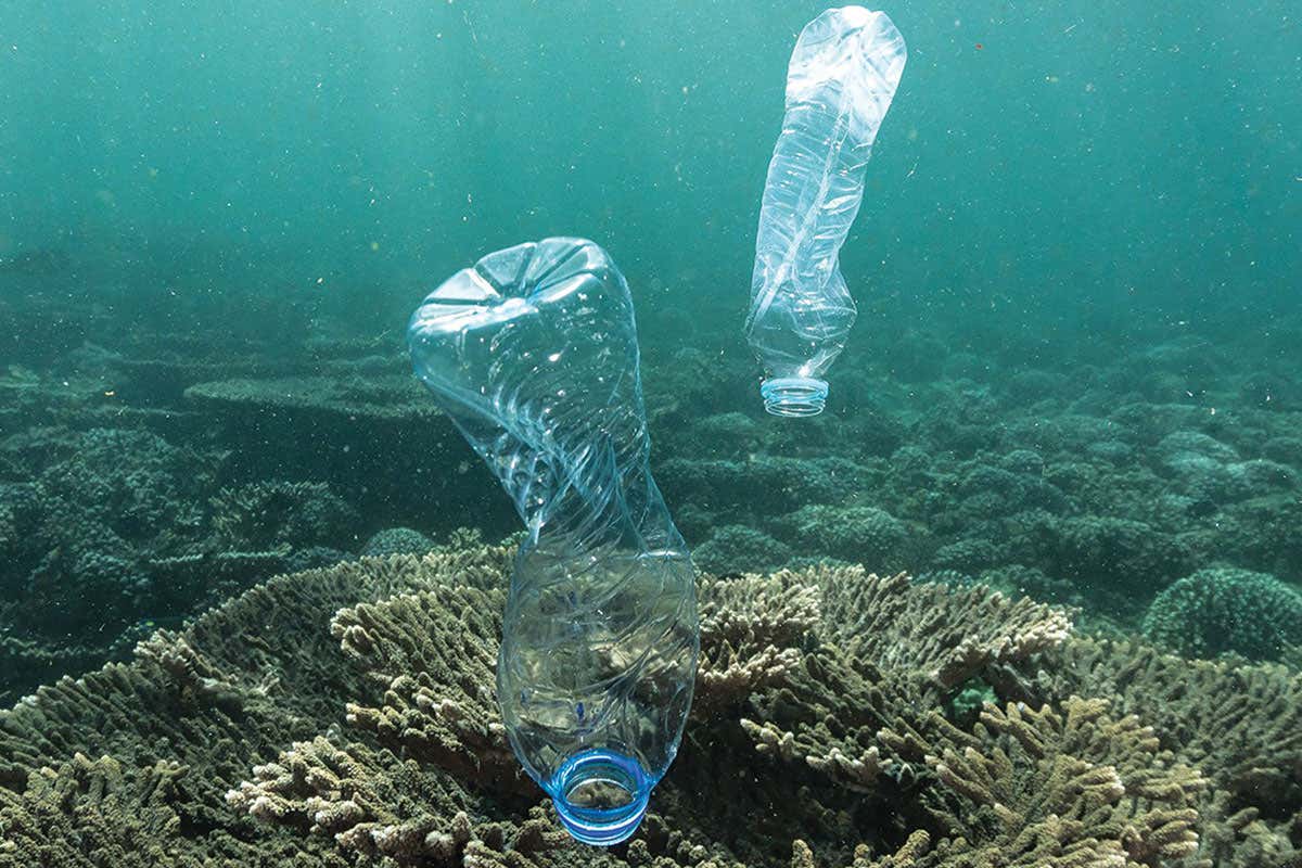 plastic bottles in sea