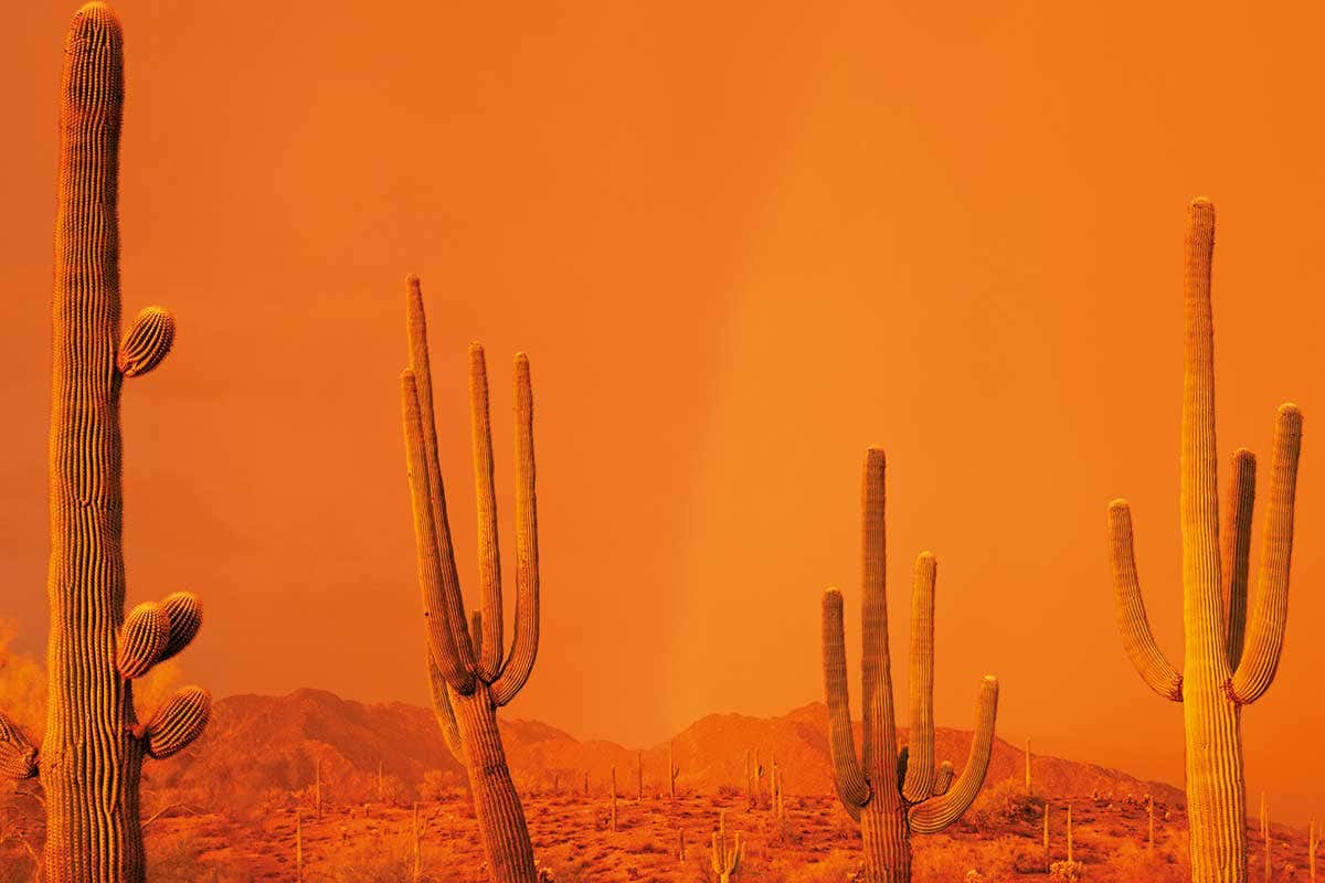 My weekend in the desert trying to experience dream telepathy