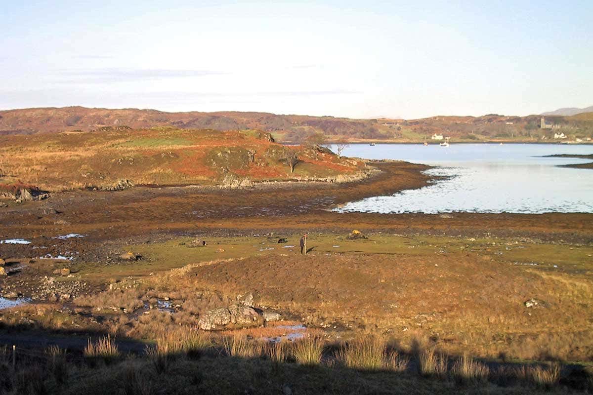 New Scientist. Science news and long reads from expert journalists, covering developments in science, technology, health and the environment on the website and the magazine.