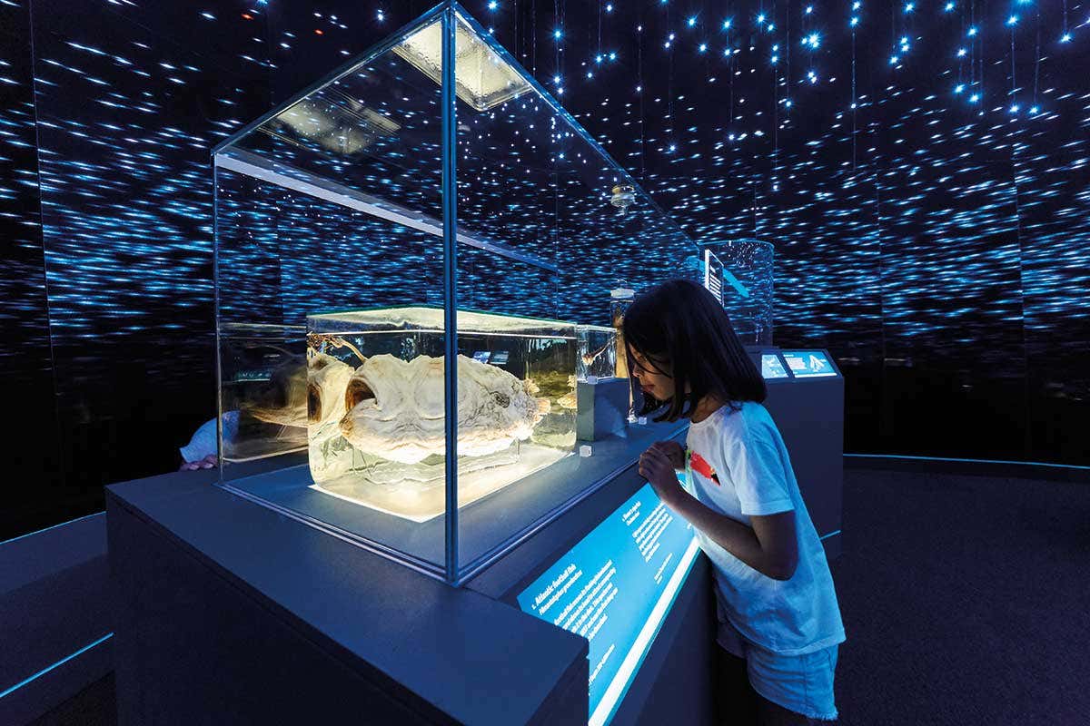 Explore nature’s dark side with the Natural History Museum