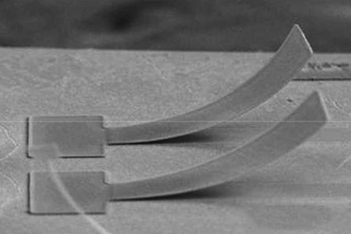 Tiny sensors in your phone could be made from recycled wood