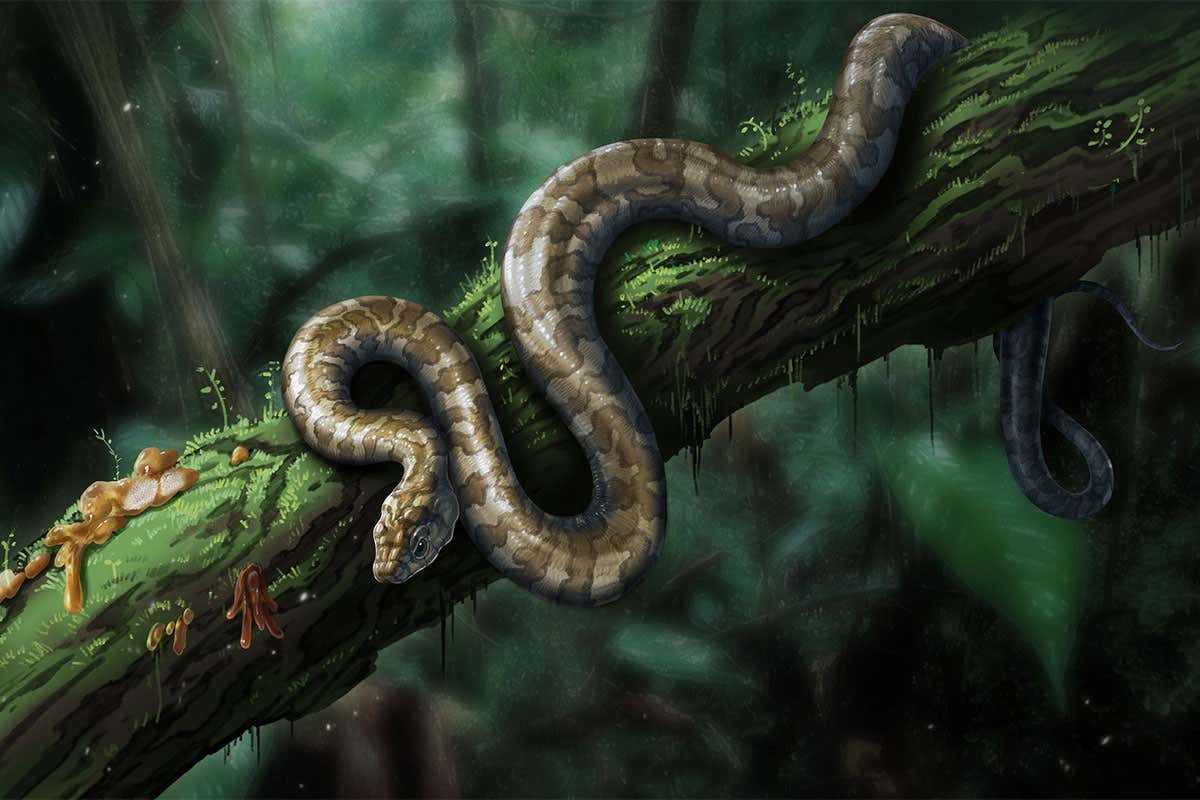 The baby snake existed in the Cretaceous period