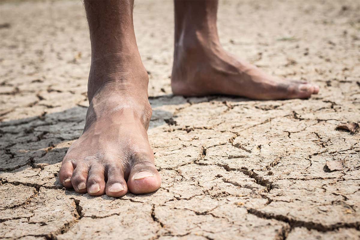 New Scientist. Science news and long reads from expert journalists, covering developments in science, technology, health and the environment on the website and the magazine.