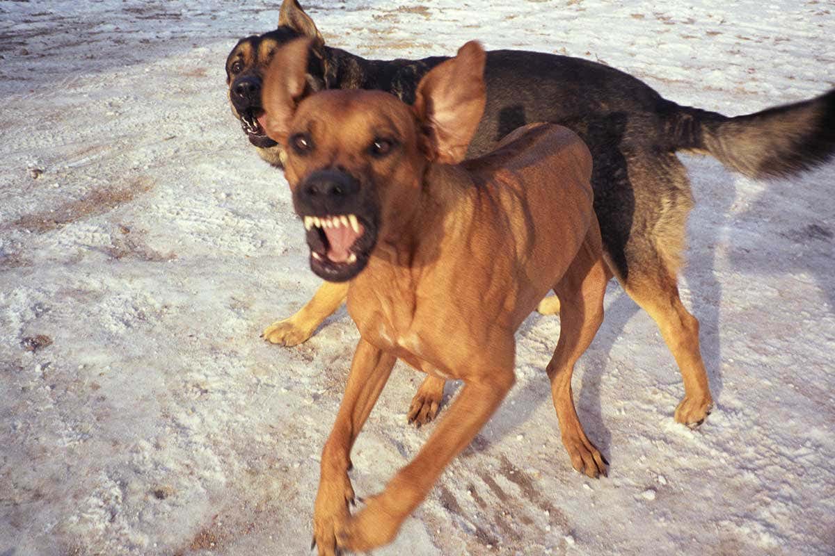 How to hack your unconscious… to conquer your fears