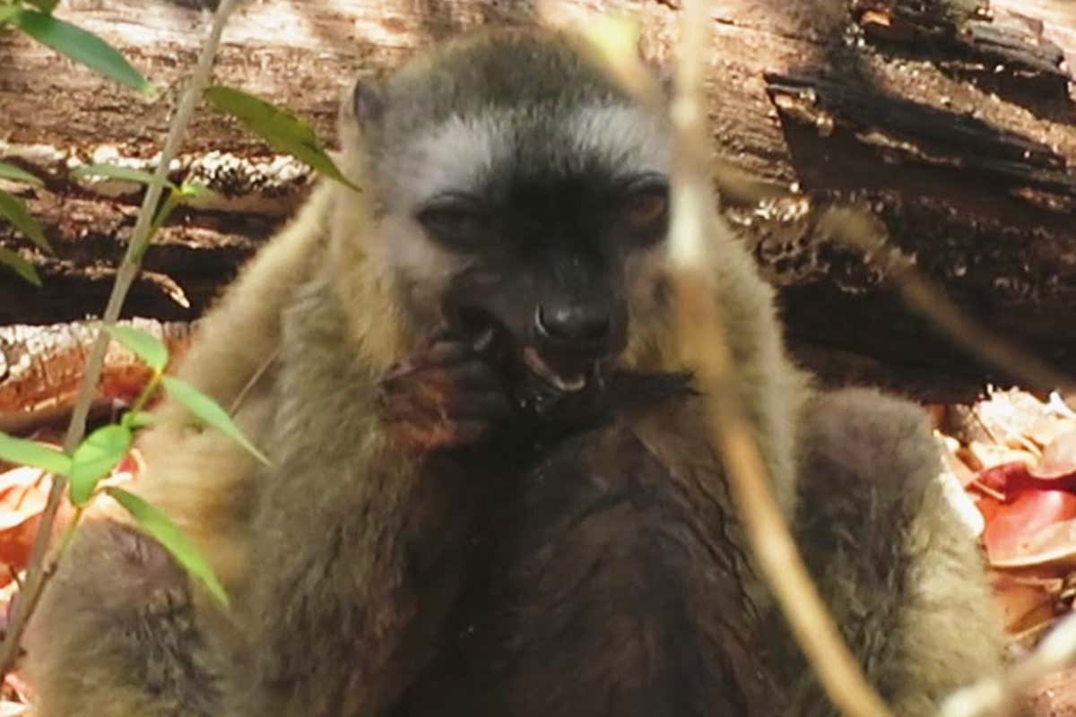 New Scientist. Science news and long reads from expert journalists, covering developments in science, technology, health and the environment on the website and the magazine.