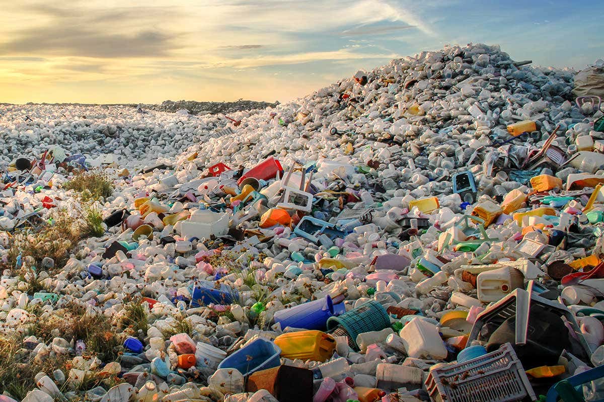 New Scientist. Science news and long reads from expert journalists, covering developments in science, technology, health and the environment on the website and the magazine.