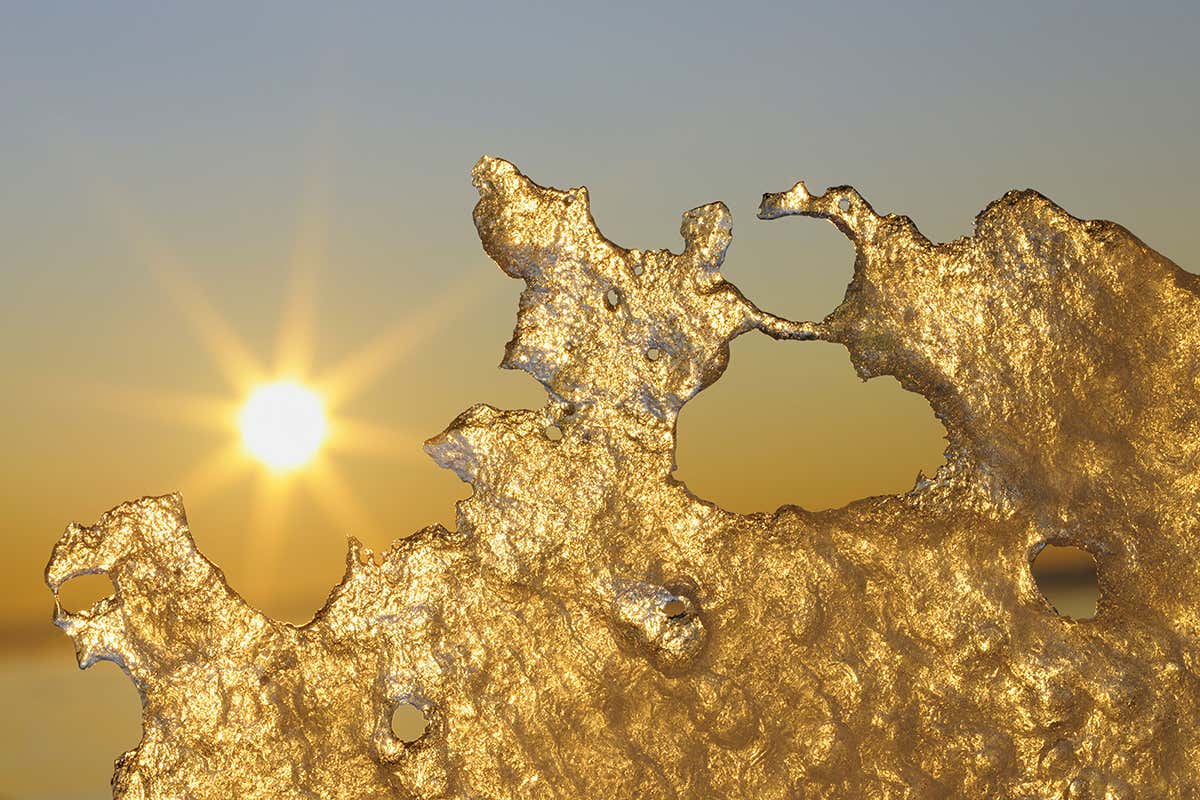 New Scientist. Science news and long reads from expert journalists, covering developments in science, technology, health and the environment on the website and the magazine.