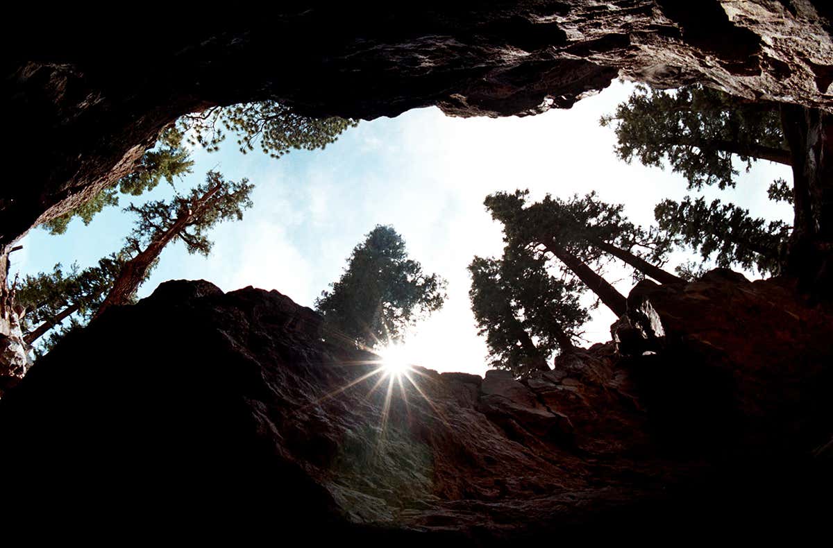 New Scientist. Science news and long reads from expert journalists, covering developments in science, technology, health and the environment on the website and the magazine.