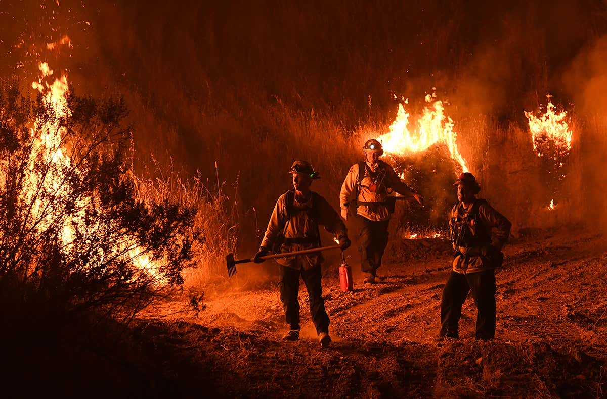 Alien grass is making California wildfires three times as frequent