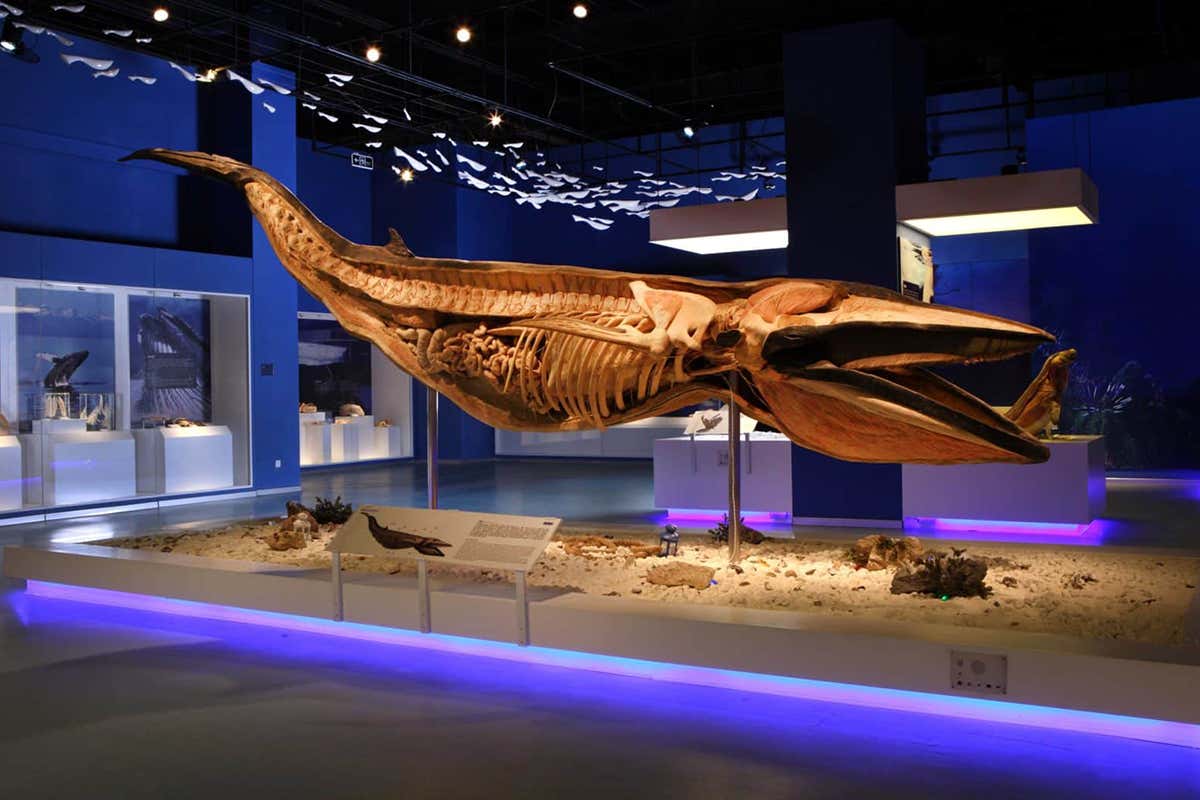 New Scientist. Science news and long reads from expert journalists, covering developments in science, technology, health and the environment on the website and the magazine.