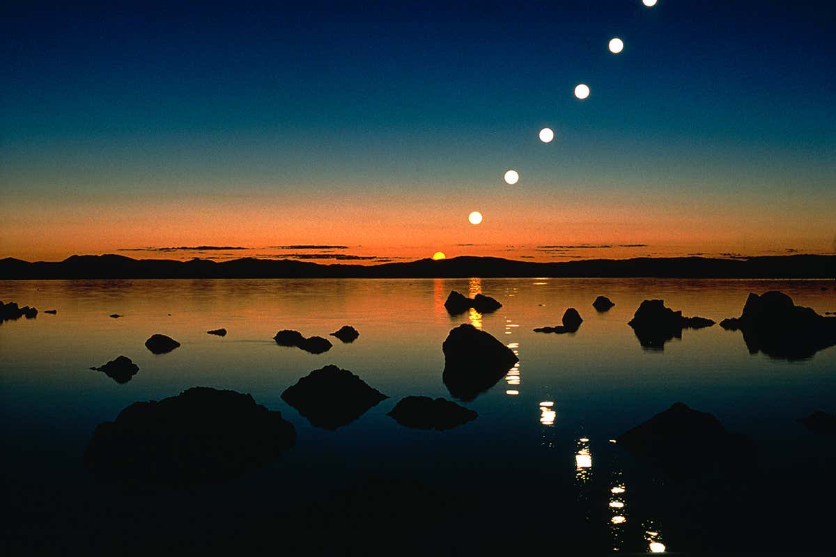 New Scientist. Science news and long reads from expert journalists, covering developments in science, technology, health and the environment on the website and the magazine.