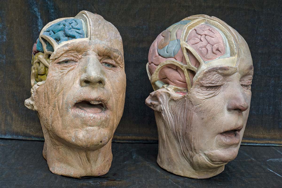 model of head