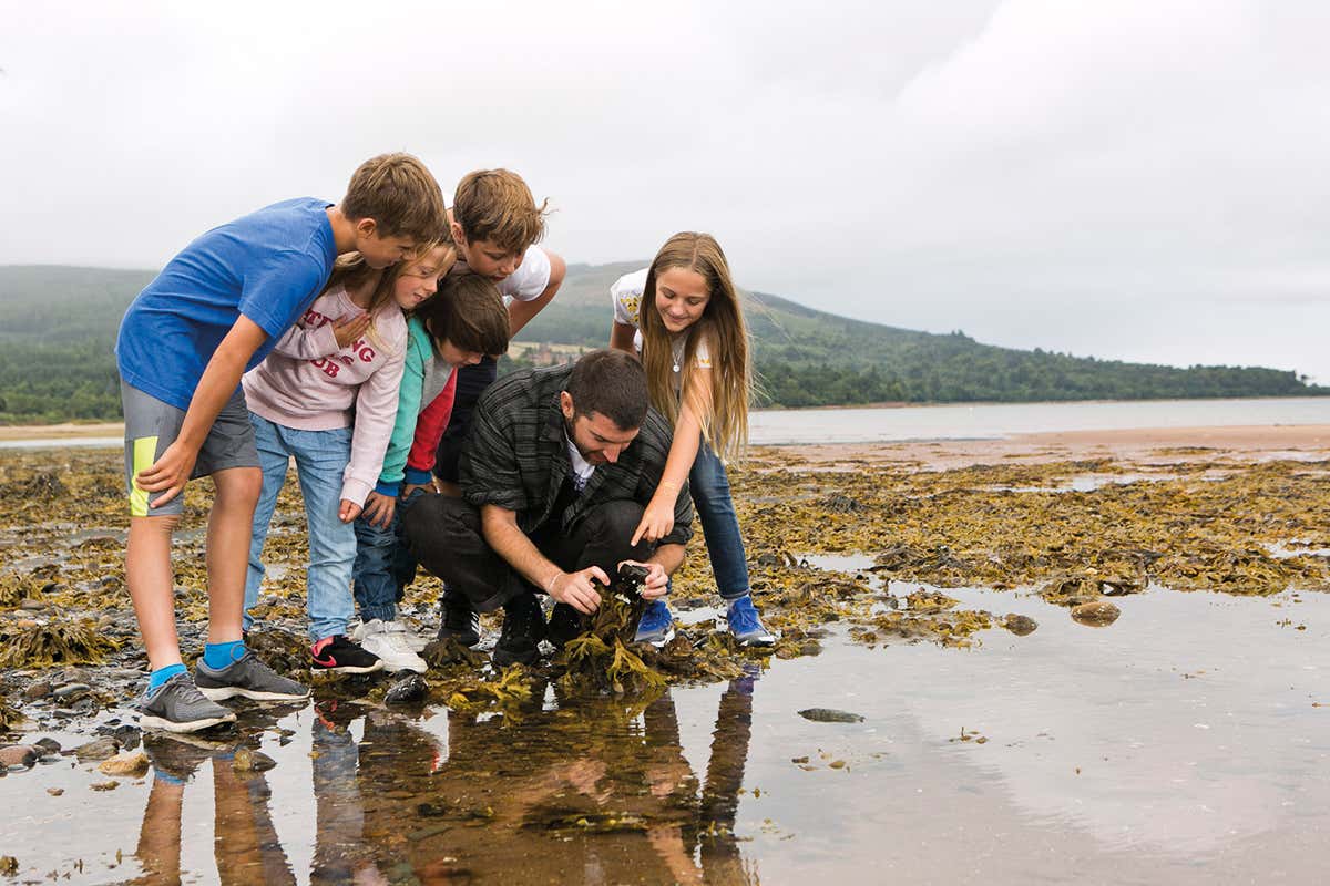 Film-maker Ed Webb-Ingall investigates the Arran shoreline