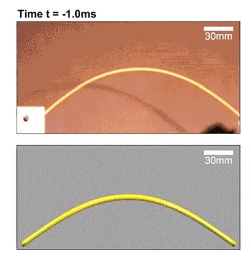 A gif of snapping spaghetti