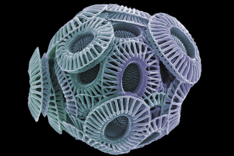 New Scientist. Science news and long reads from expert journalists, covering developments in science, technology, health and the environment on the website and the magazine.