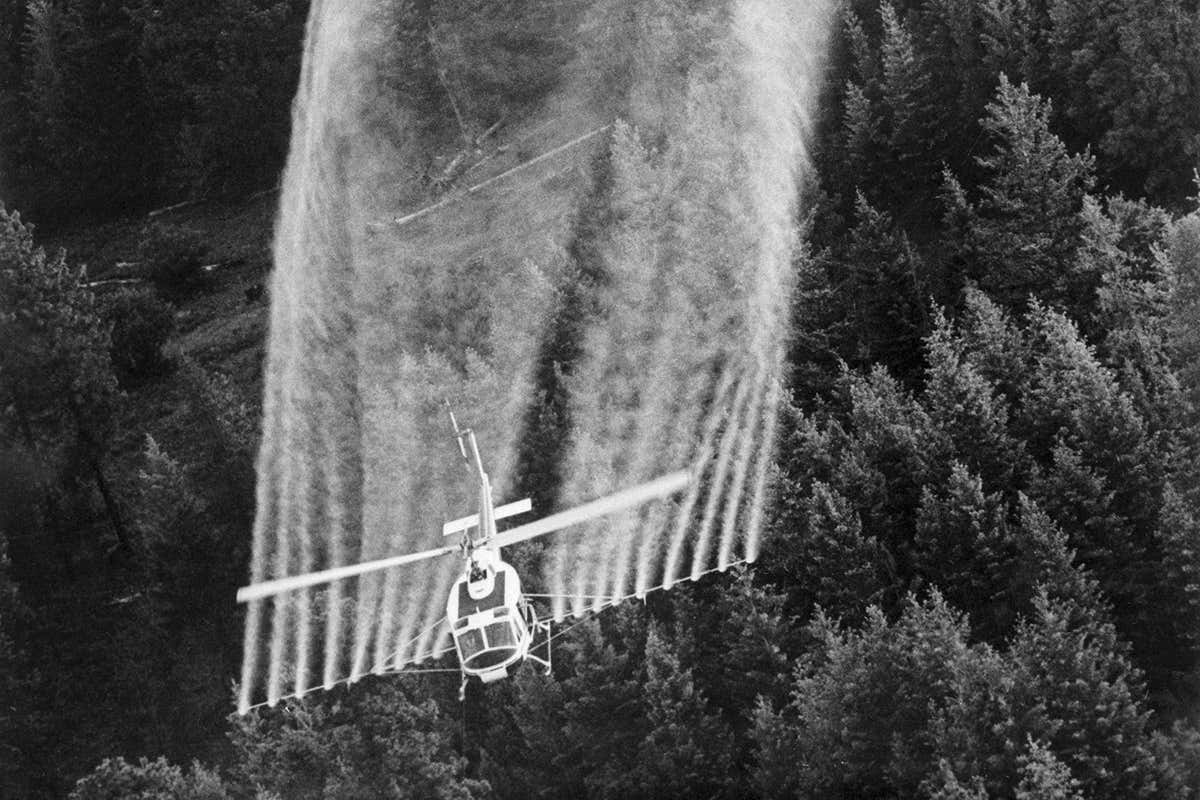 A plane spraying crops