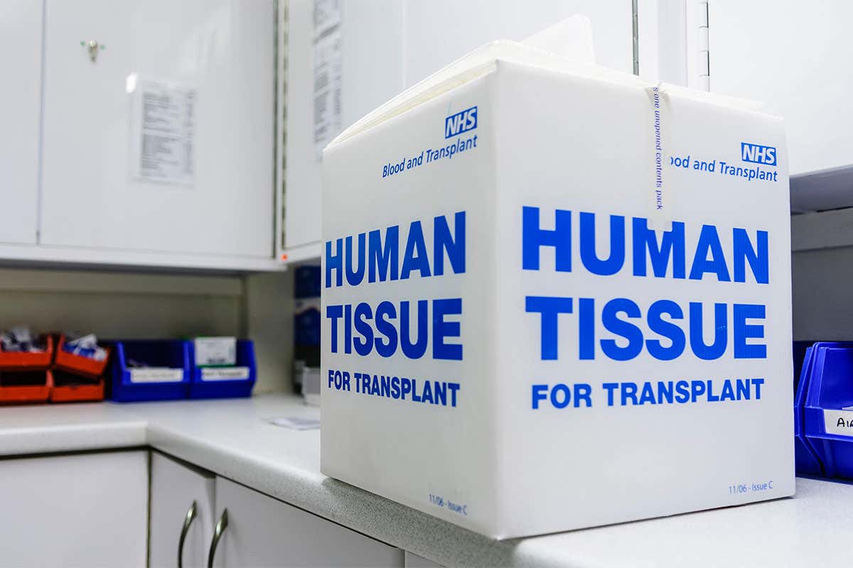 An opt-out organ donor system might actually lead to fewer transplants