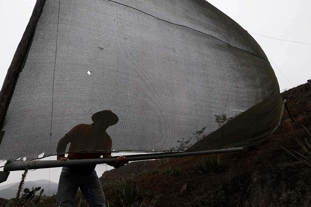 A man with a fog net