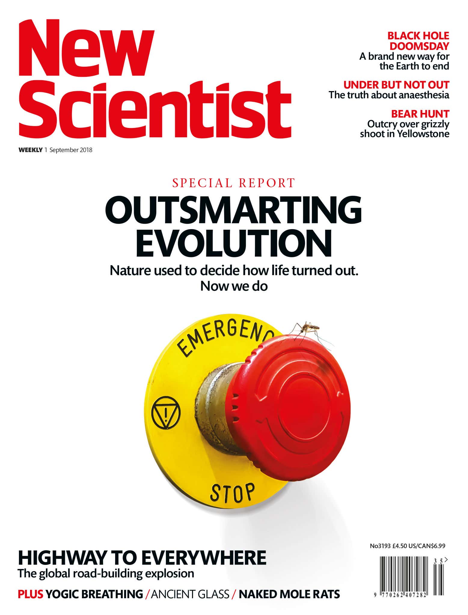 New Scientist issue 3193 cover