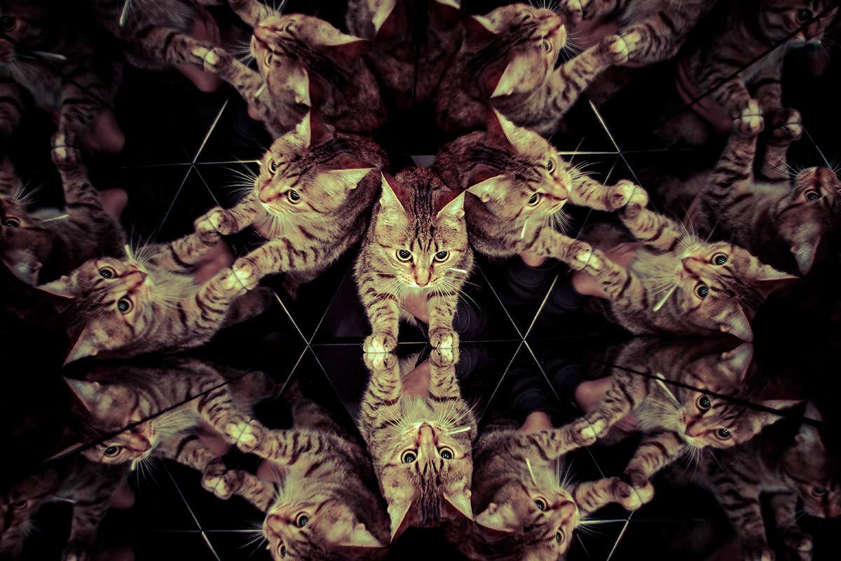 New Scientist Live: step into many quantum worlds