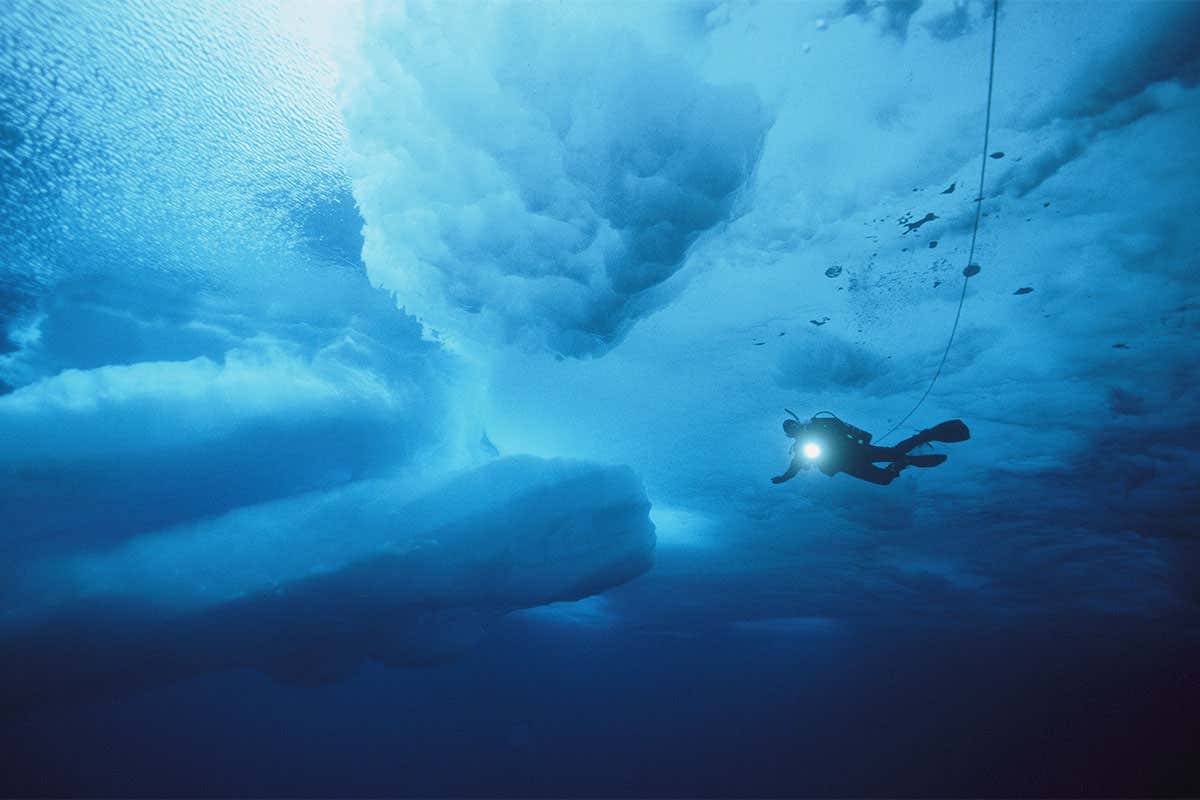 A diver shines a torch on some ice from underneath
