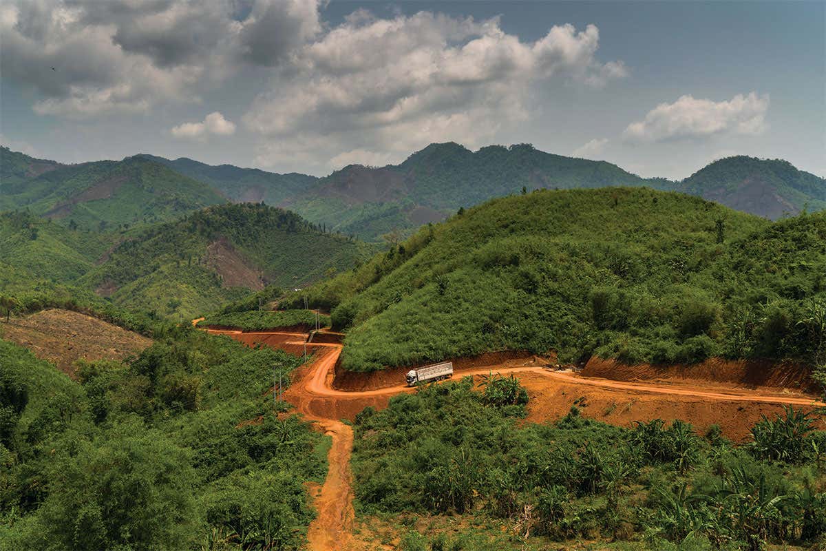 Red road through the green forest