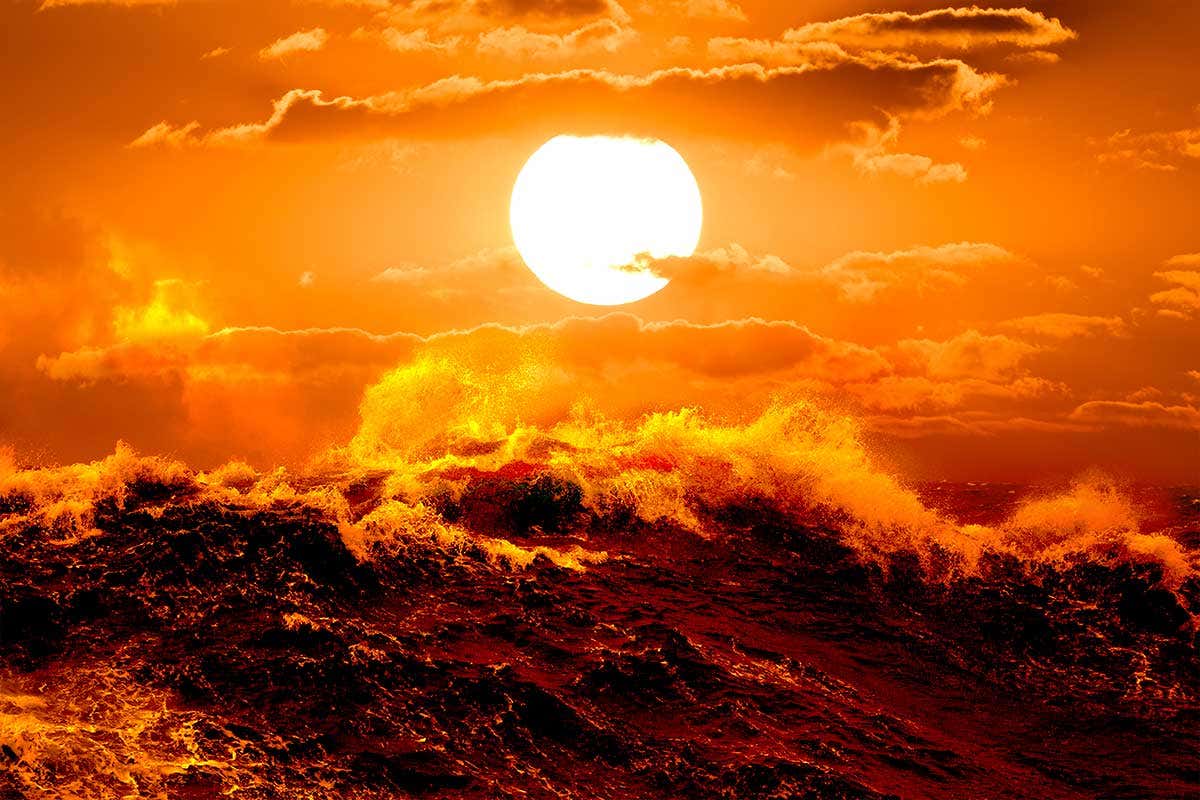 New Scientist. Science news and long reads from expert journalists, covering developments in science, technology, health and the environment on the website and the magazine.